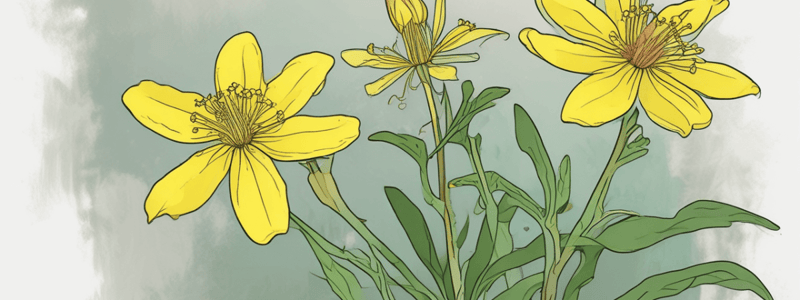 St. John’s Wort and Depression Symptoms