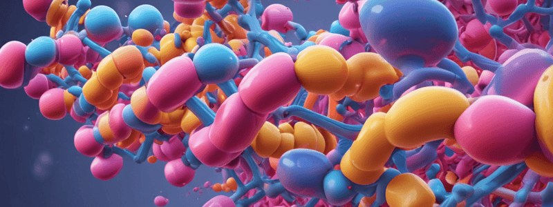 Structural Features of Beta-Strands in Proteins