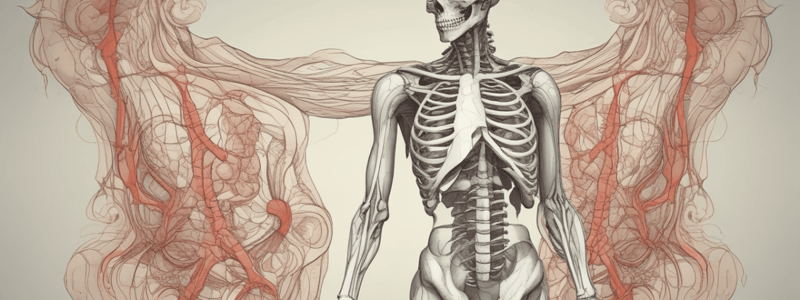 Anatomy of the Retroperitoneal Space