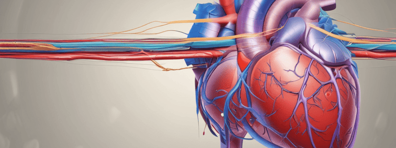 Heart Sounds Production and Blood Pressure Basics