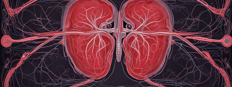 Cardiovascular Part 2: CO, HR, SV, Blood Distribution & BP