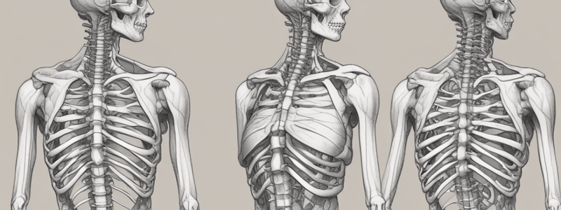 Anatomy of the Scapula and Humerus