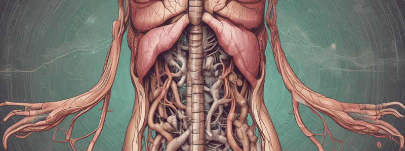 Biology: Formation and Composition of Bile