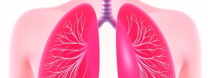 Respiratory System Functions and Lung Capacities