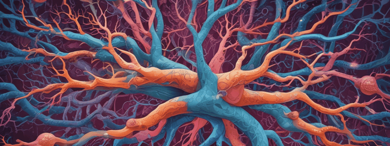 Hypoxia-induced Angiogenesis in Neural Cells Quiz