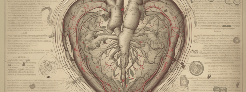 Differential Diagnoses of Heart and Small Intestine in Traditional Chinese Medicine