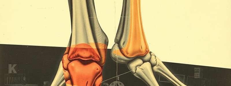 Introduction to Joints and Classification