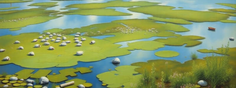 Estuary Biomes: Definition and Ecology