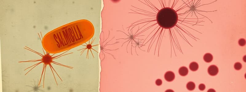 Comparison of Salmonella and Shigella