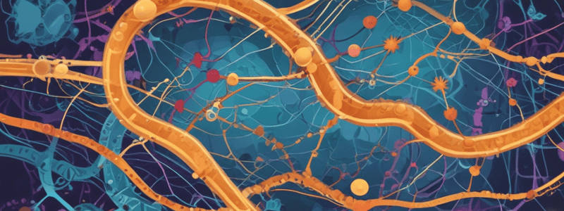 Elongation and Termination in Protein Synthesis