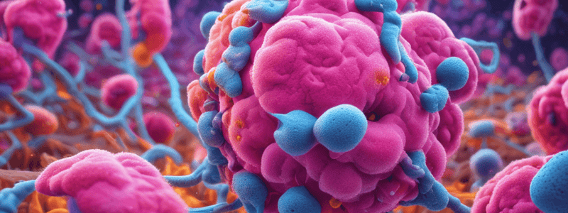 Mycobacterium Tuberculosis Phagocytosis Process