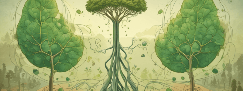 Autotrophs vs Heterotrophs: Photosynthesis and Cellular Respiration