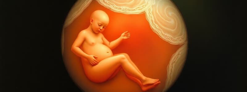 Embriología: Desarrollo Prenatal y Primera Semana