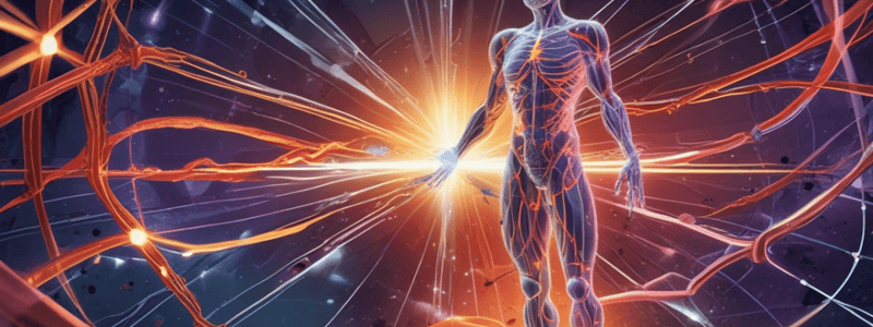 Energy, Work, and Power in the Human Body