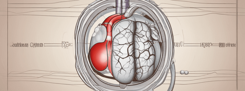 The Liver's Role in Blood Pressure Regulation