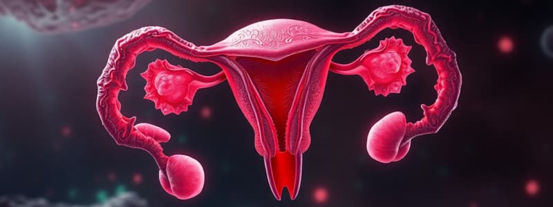 Female Reproductive System Quiz