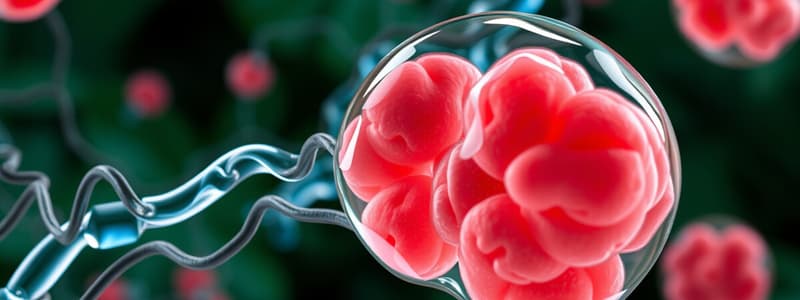 Blood Oxygen and Carbon Dioxide Transport