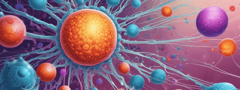 B Cell Signaling Pathways Quiz