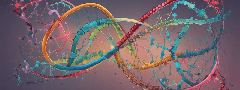 T.14 Modificación postranscripcional del RNA (títol)