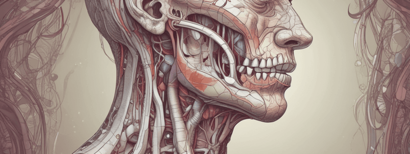 Anatomy of Salivary Glands