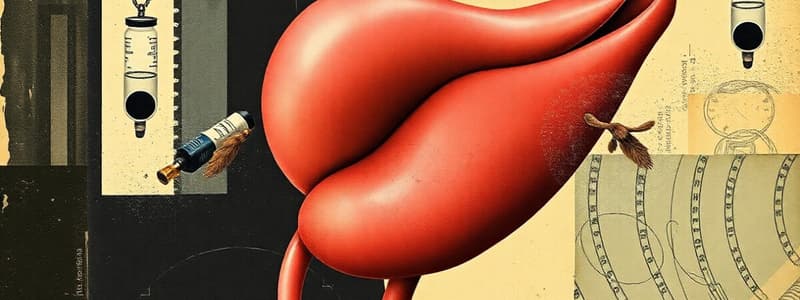 Endocrine Pancreas and Type 1 Diabetes