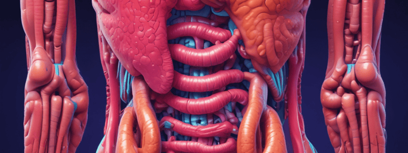 The Digestive System: An Overview