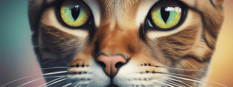 Veterinary Ophthalmology: Feline Internal Ophthalmoparesis/Ophthalmoplegia