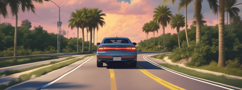 Florida Traffic Laws: Minor's License Application