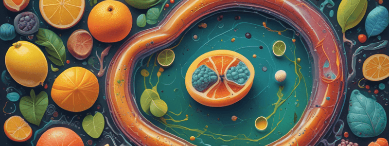 Citric Acid Cycle and Pyruvate Metabolism