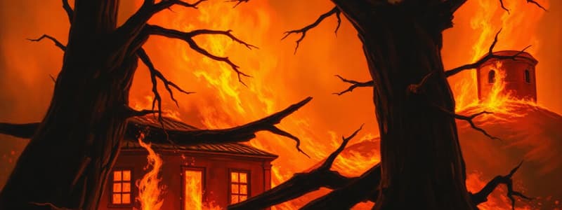 Fire Statistics and Injury Causes