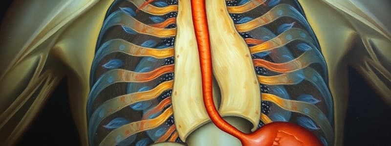 Esophageal Varices and Liver Cirrhosis