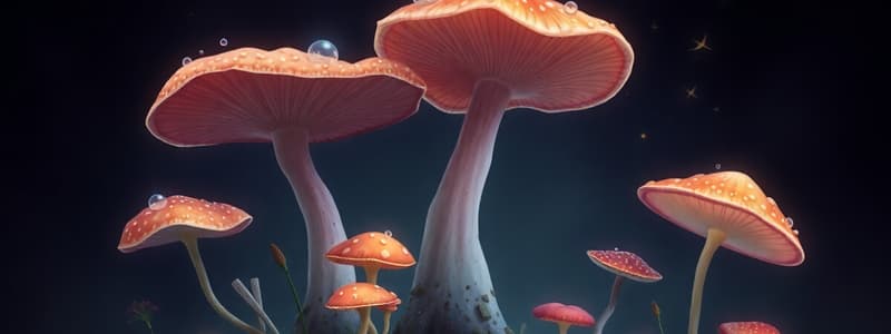 Kingdom Fungi Overview & Characteristics