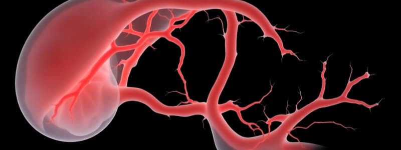 05. Embryology - Cardiovascular Development