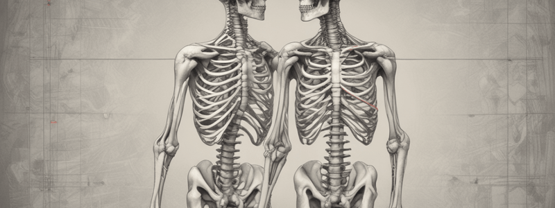 Human Bone Structure and Types