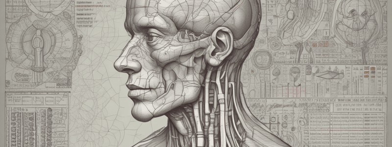 The 12 Cranial Nerves