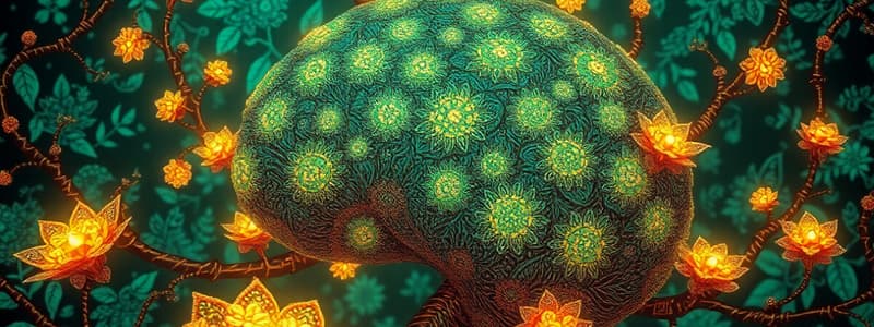 Understanding Sensory Perception