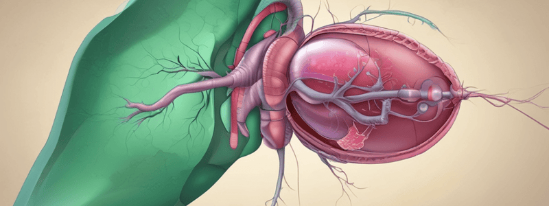 Gallstones and Cholecystitis: Symptoms and Treatment