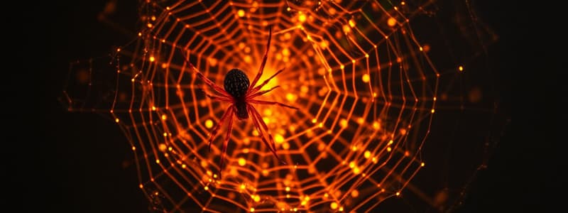 Orb-Weaver Spiders and Firefly Behavior Study