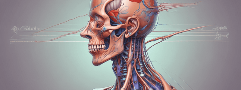 Anatomy of the Shoulder Region and Arm