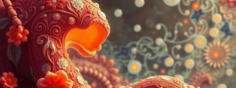 Lipid Metabolism and Pharmacology Quiz