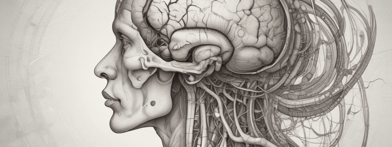 Neurosciences: Cellular to Neuronal Functions