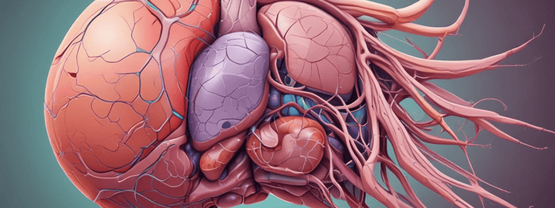 Hepatobiliary System Function and Structure