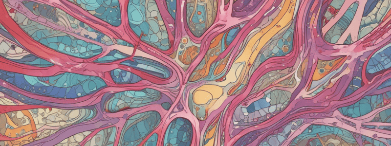 Connective Tissue Cells