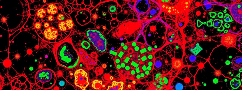 Microscopy Techniques and Fractionation Methods