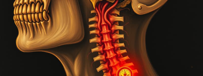 Sistema Trigeminal y Transmisión del Dolor