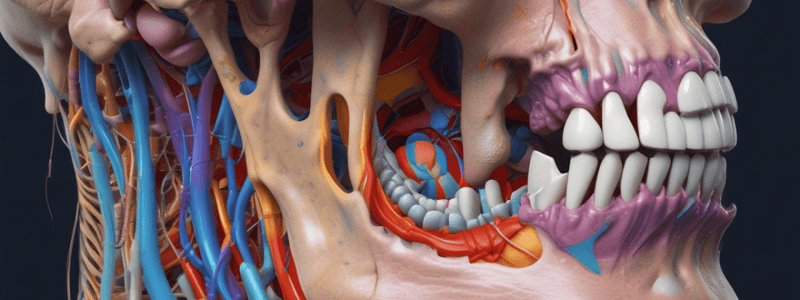 BMS 133: Infratemporal Fossa and TMJ Quiz