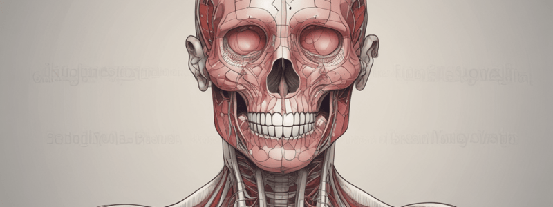 Anatomy of the Thorax