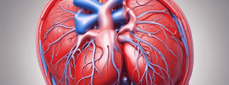 Short-Term Regulation of Arterial Pressure - NRAN 80413 Spring 2024 Quiz