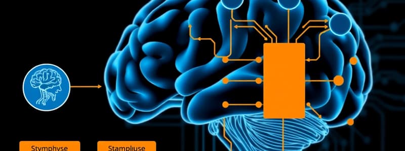 Stages of Information Processing in Motor System