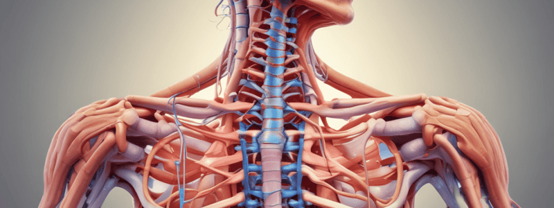 Common Neuro-Musculoskeletal Conditions of the Thoracic Spine